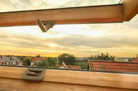 rated Dalginross roof window companies